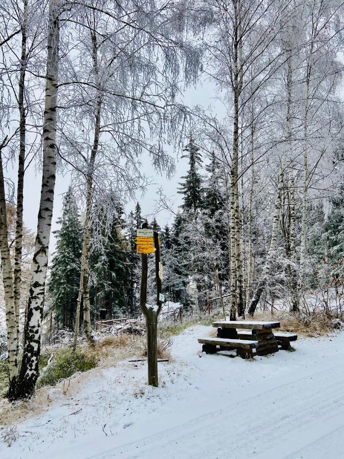Utulny Apartman V Srdci Krkonos Se Saunou Jablonec nad Jizerou Eksteriør billede